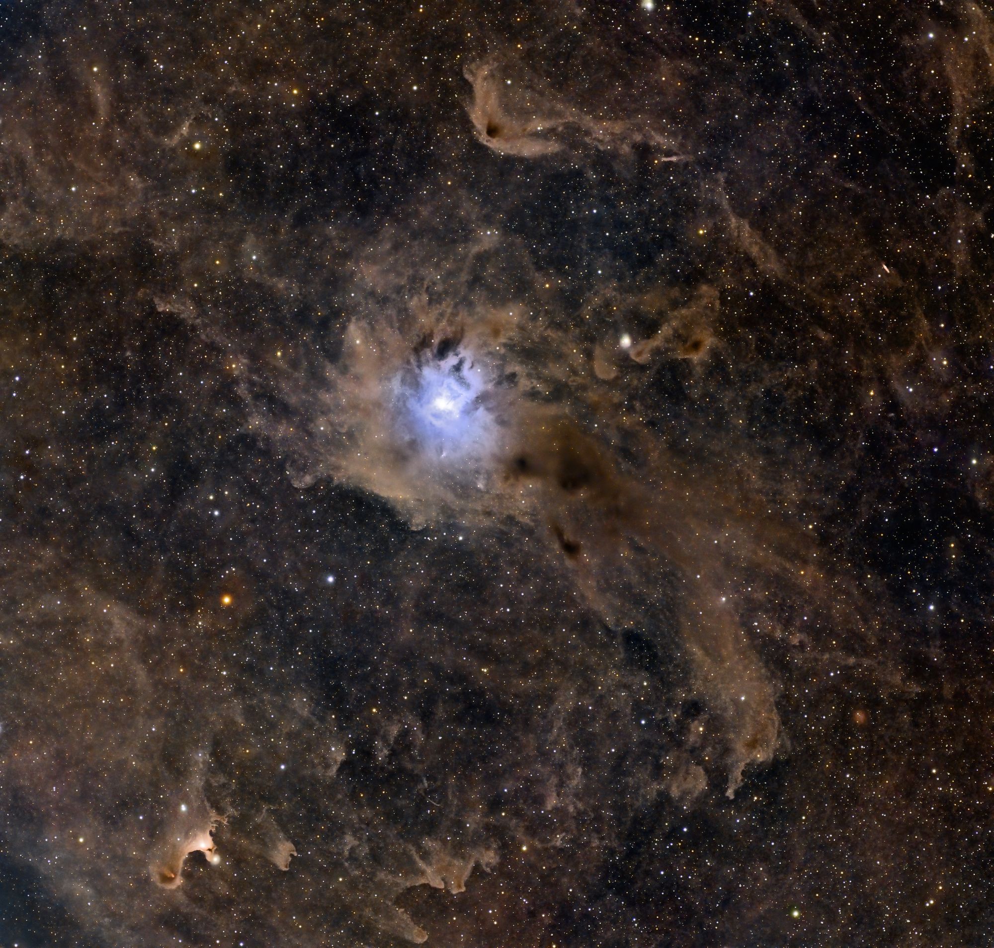 Iris Nebula and the Ghost of Cepheus